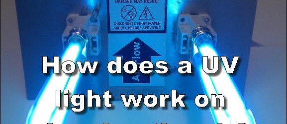 How does a UV light work on cleaning the air
